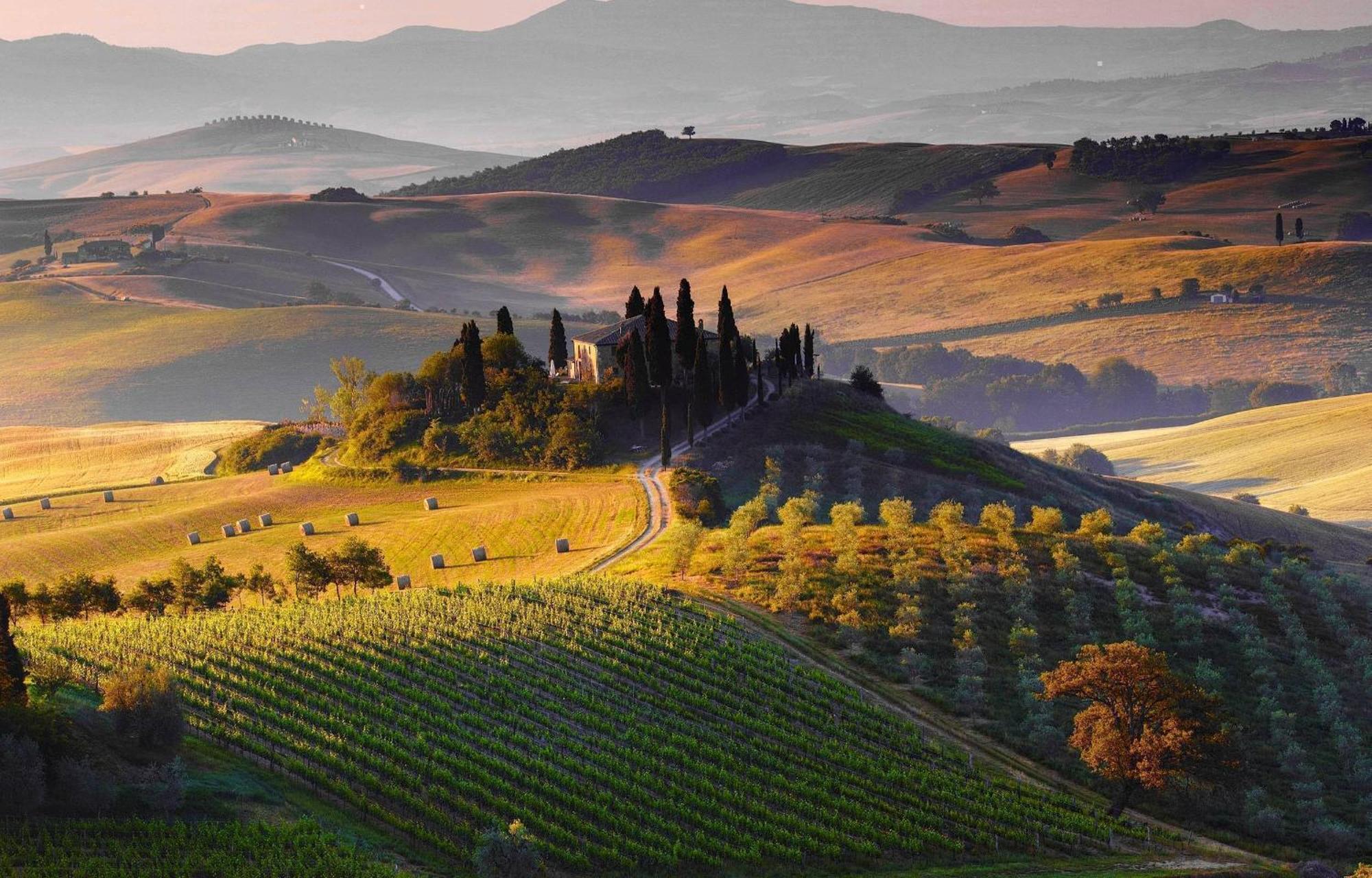 La Campanina-Nel Cuore Di Siena E Della Contrada Exterior photo